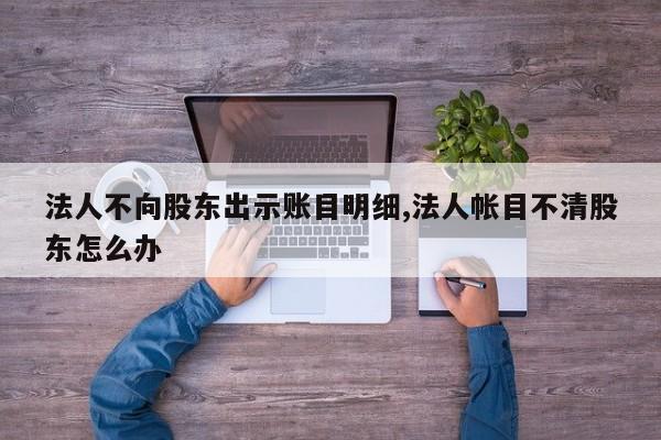 法人不向股东出示账目明细,法人帐目不清股东怎么办