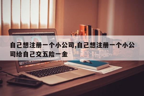 自己想注册一个小公司,自己想注册一个小公司给自己交五险一金