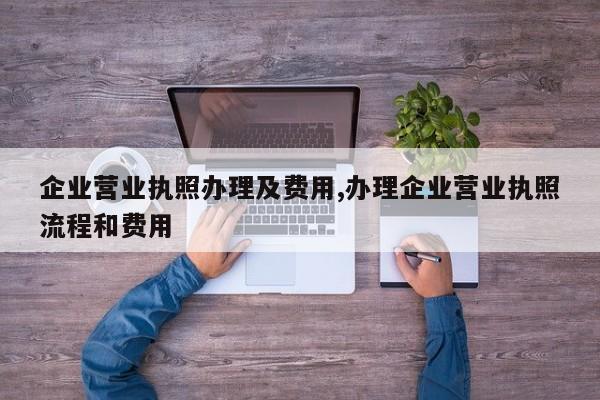 企业营业执照办理及费用,办理企业营业执照流程和费用