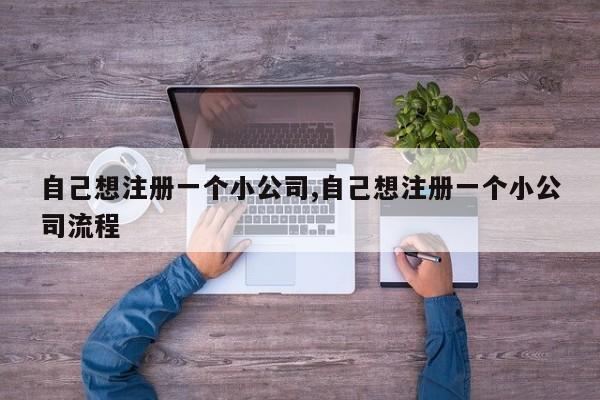 自己想注册一个小公司,自己想注册一个小公司流程