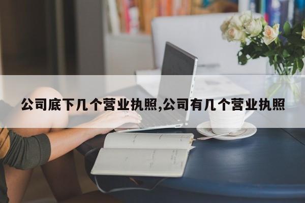 公司底下几个营业执照,公司有几个营业执照