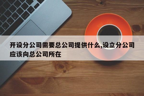 开设分公司需要总公司提供什么,设立分公司应该向总公司所在