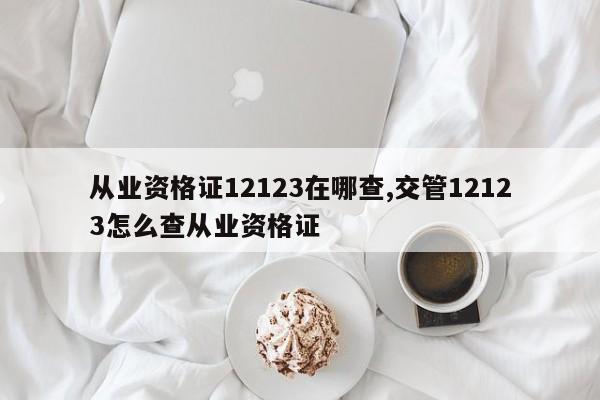 从业资格证12123在哪查,交管12123怎么查从业资格证