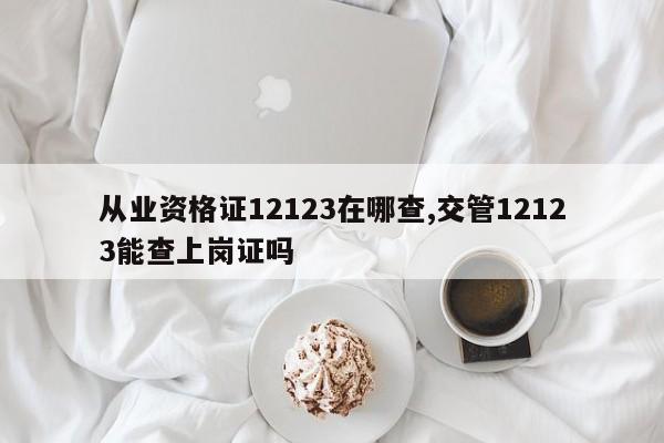 从业资格证12123在哪查,交管12123能查上岗证吗